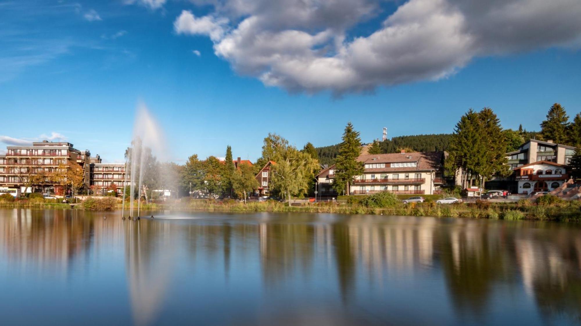 Modern & Vintage Bocksbergblick Ferienpark Hahnenklee Goslar Luaran gambar